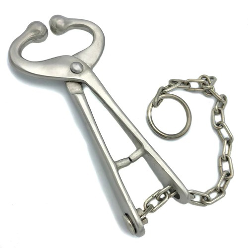 BULL LEAD WITH CHAIN NO HOOK